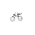 South Sea White Pearls Avalon Earrings 13-14 mm AAA